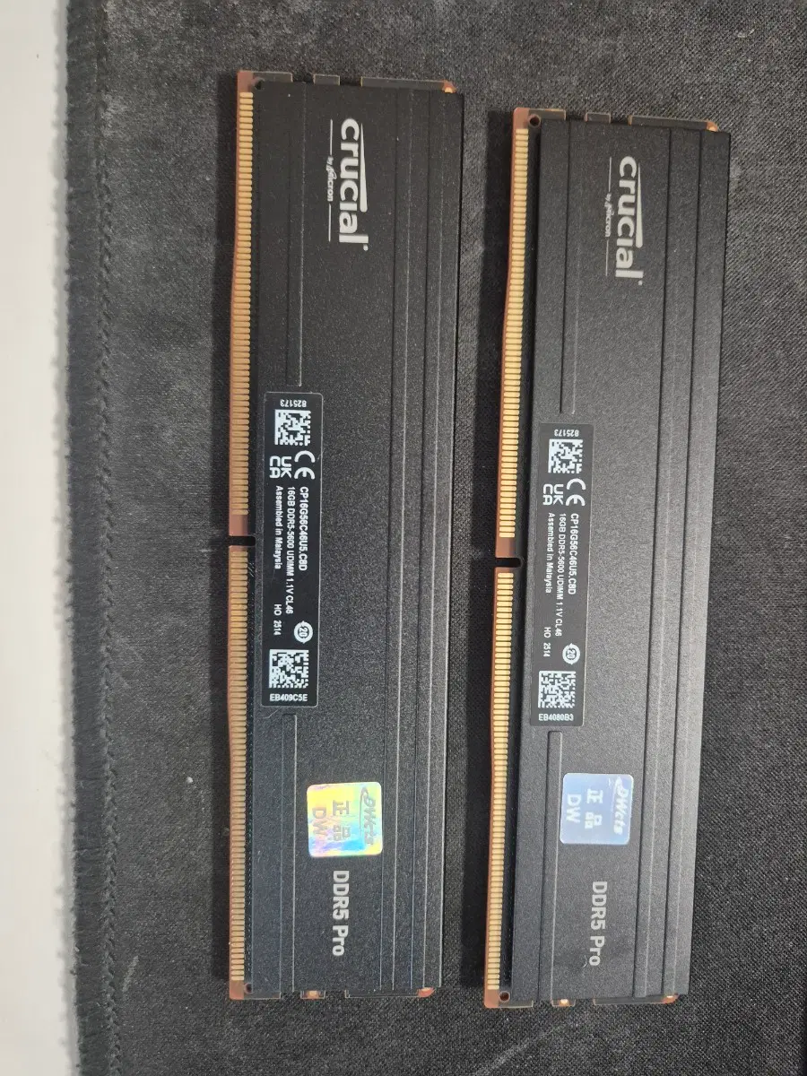 마이크론 크루셜 ddr5 5600 16g