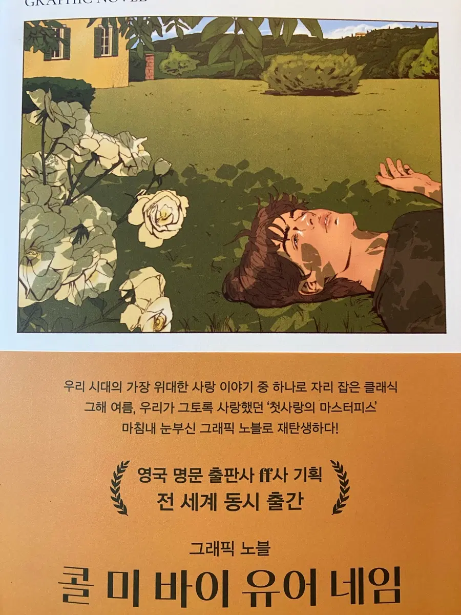 콜미바이유어네임 그래픽 노블