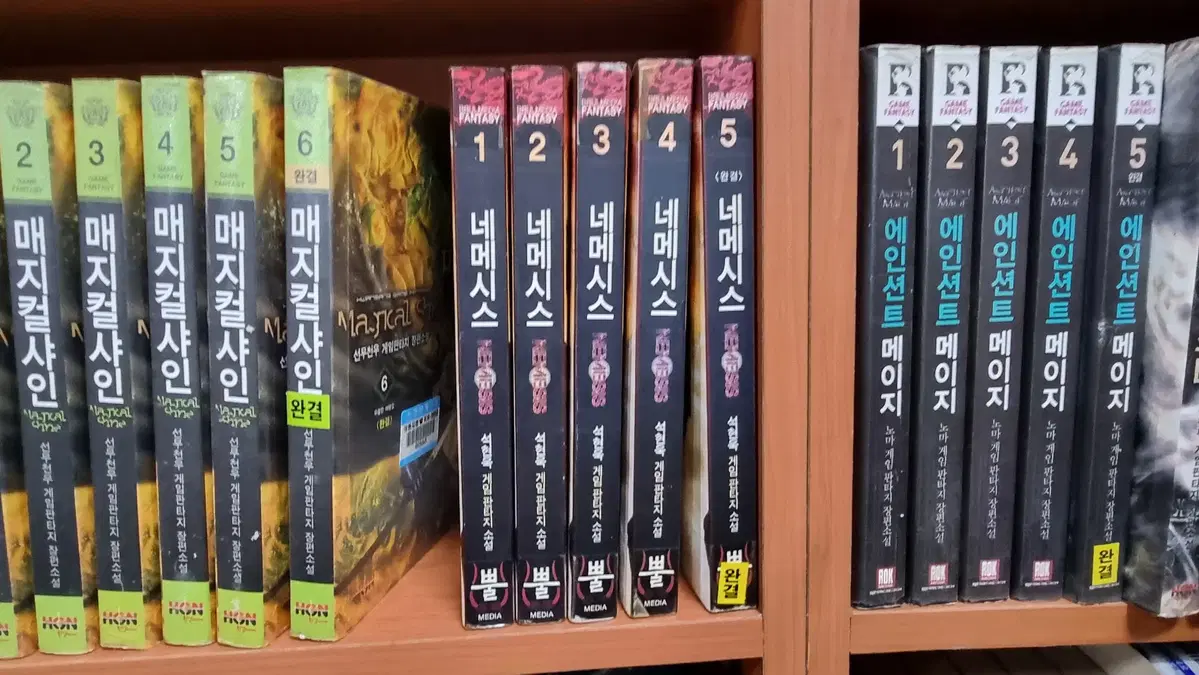네메시스 1-5 완 석현욱 게임 판타지 소설