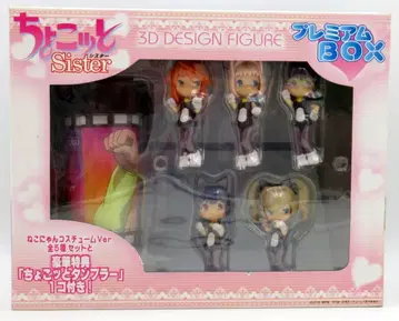 3DF 3DF 쪼꼬렛 Sister 프리미엄 BOX