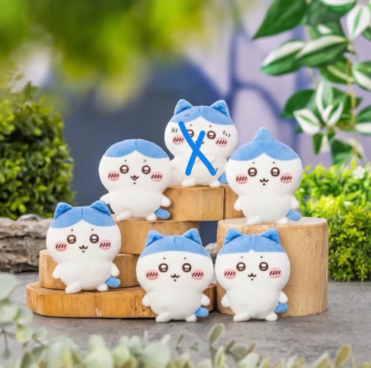하치와레 투성이 e상 구합니다 !