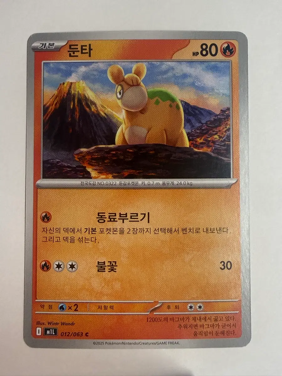 포켓몬 카드 둔타 기본