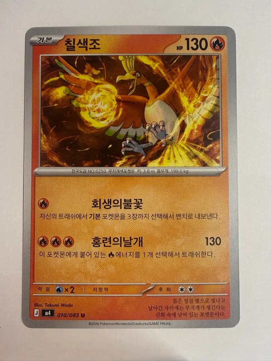 포켓몬카드 칠색조 일러스트 카드