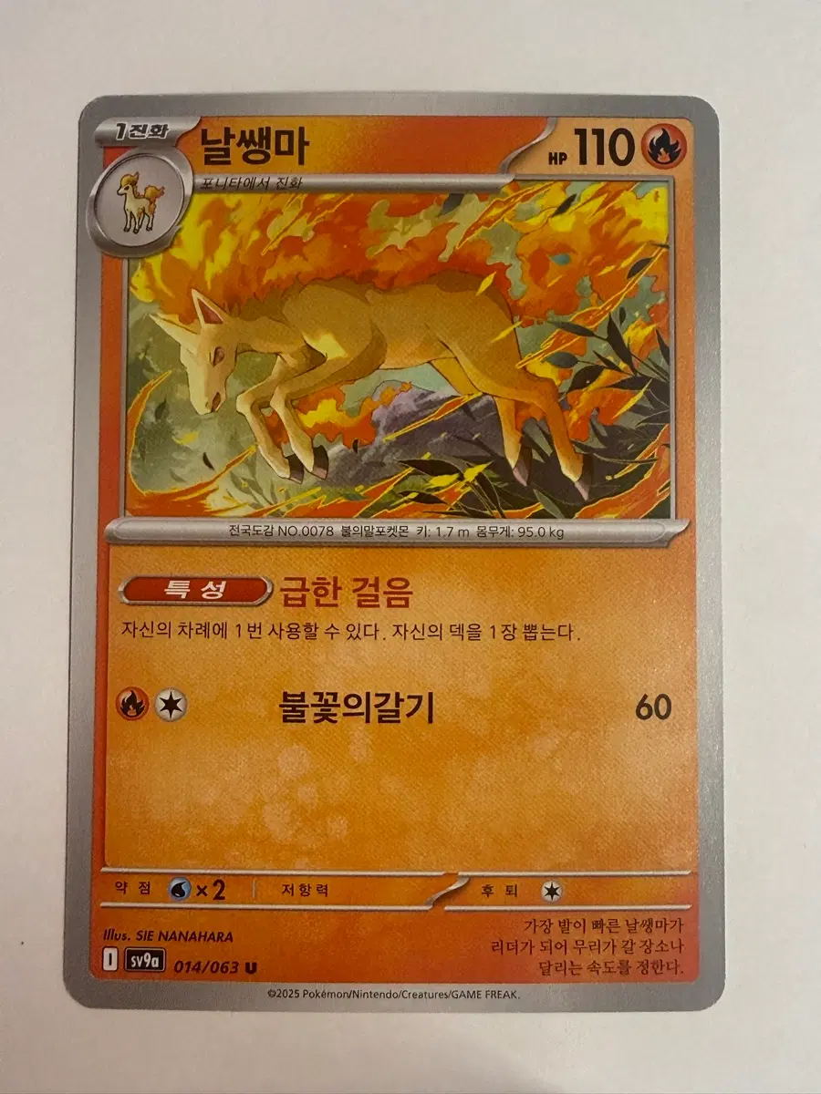 포켓몬카드 날쌩마 1진화 급한 걸음 불꽃의 갈기