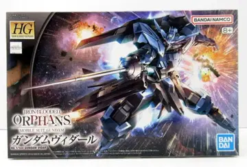 BANDAI SPIRITS HG 1/144 반다이남코판 건담 비다르 반다이남코판 8+ 표기 027