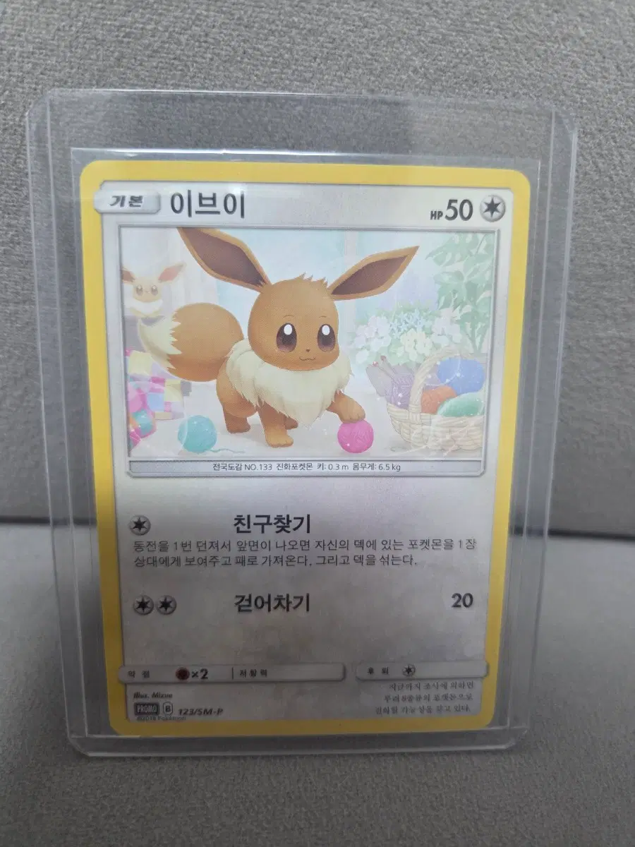 포켓몬 카드 2019 이브이 프로모 123/SM-P