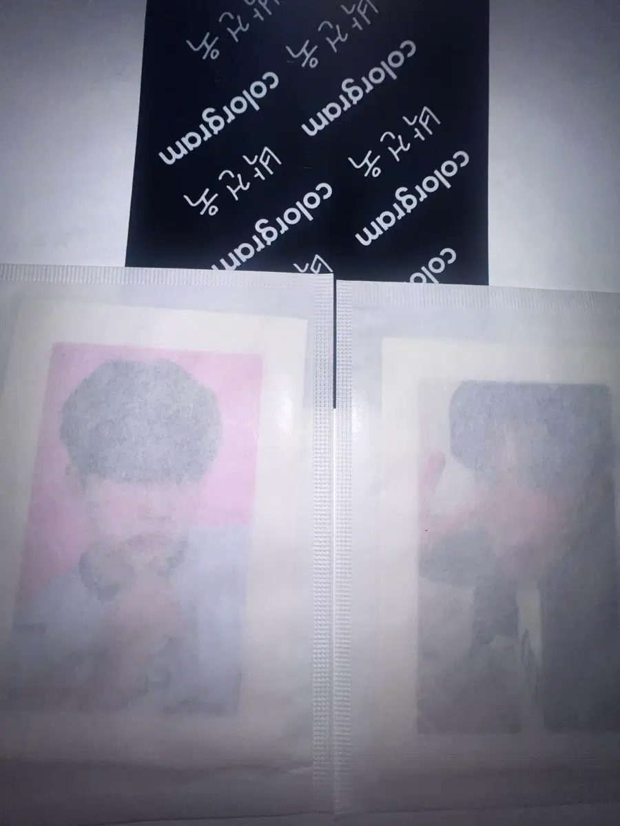 컬러그램 긱로즈 박건욱 띠부실