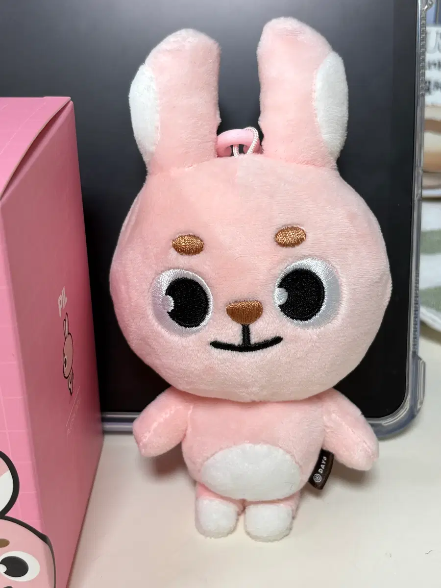 데이식스 데니멀즈 2020필끼