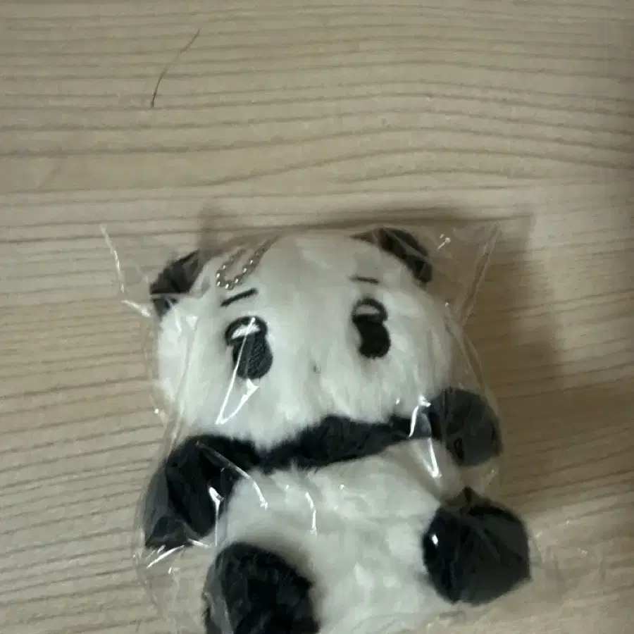 에스파 윈터 판다 직직이 앉직이