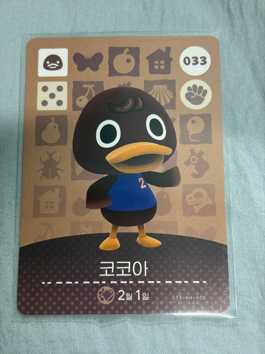 동물의숲 코코아 아미보