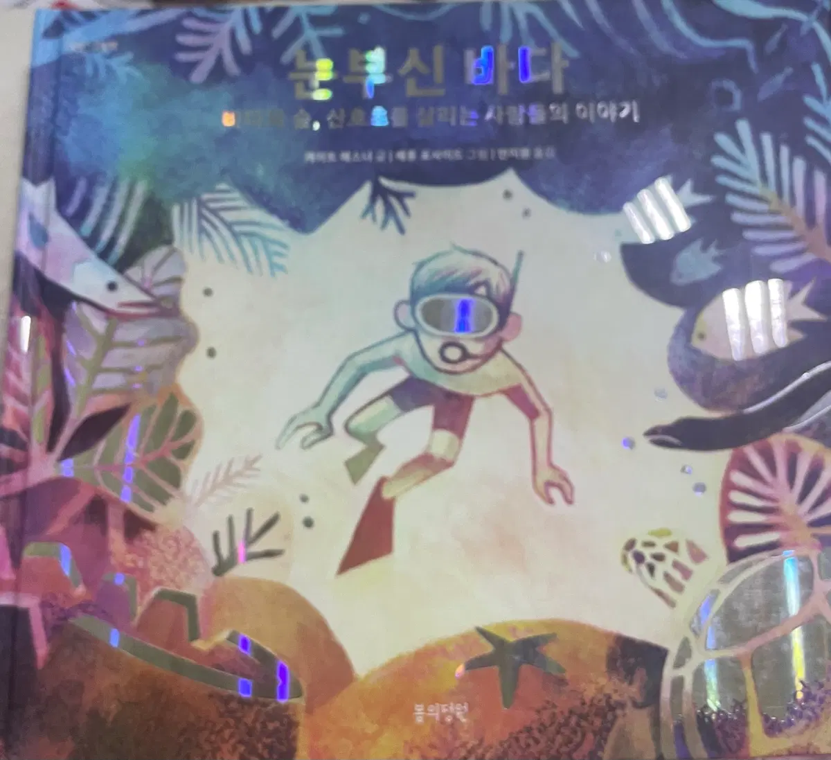 눈부신 바다 그림책