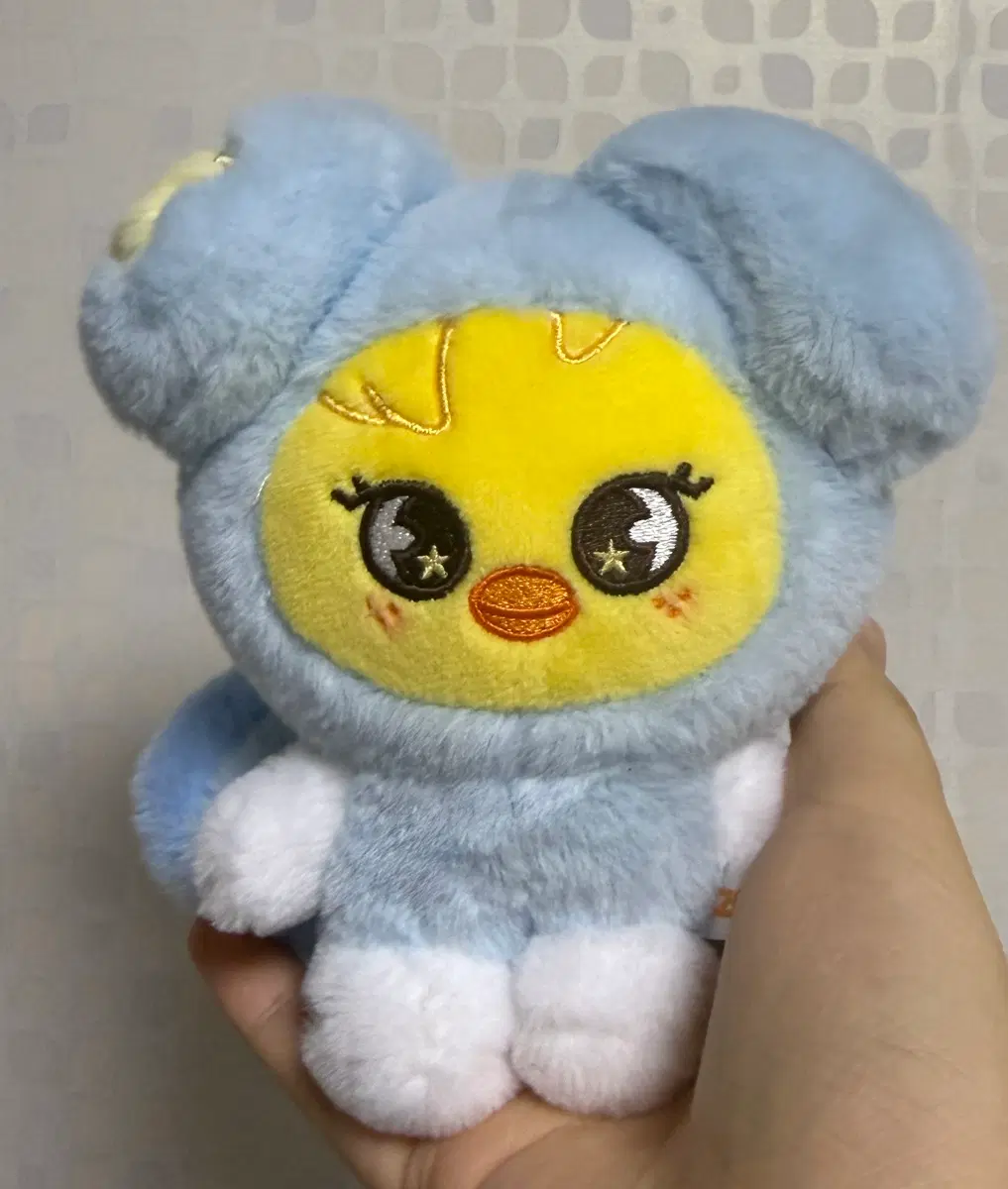 테이지 뽁아리