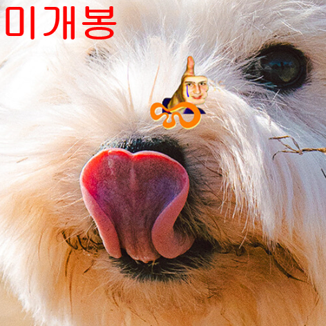 오티스림 (Otis Rm) - Playground (미개봉, CD)