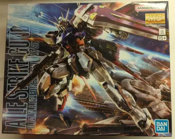 BANDAI SPIRITS MG 1/100 반다이남코판 에일 스트라이크 건담 Ver.RM/15+ 표기