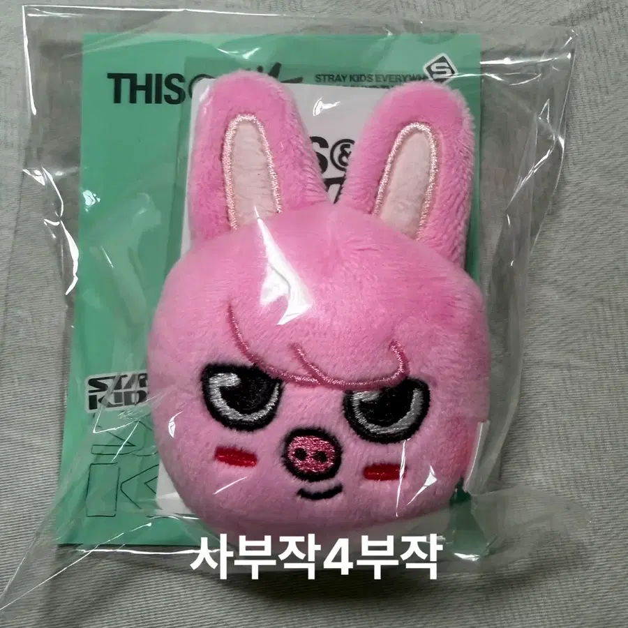 스키즈 디스앤댓 팝업 엠디 스키주 마그넷 그립톡 마그네틱 홀더 창빈 돼끼 포카