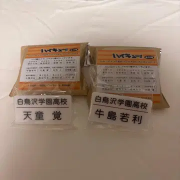 하이큐!! 트레이딩 명찰 클립 우시지마 와카토시 텐도 사토리