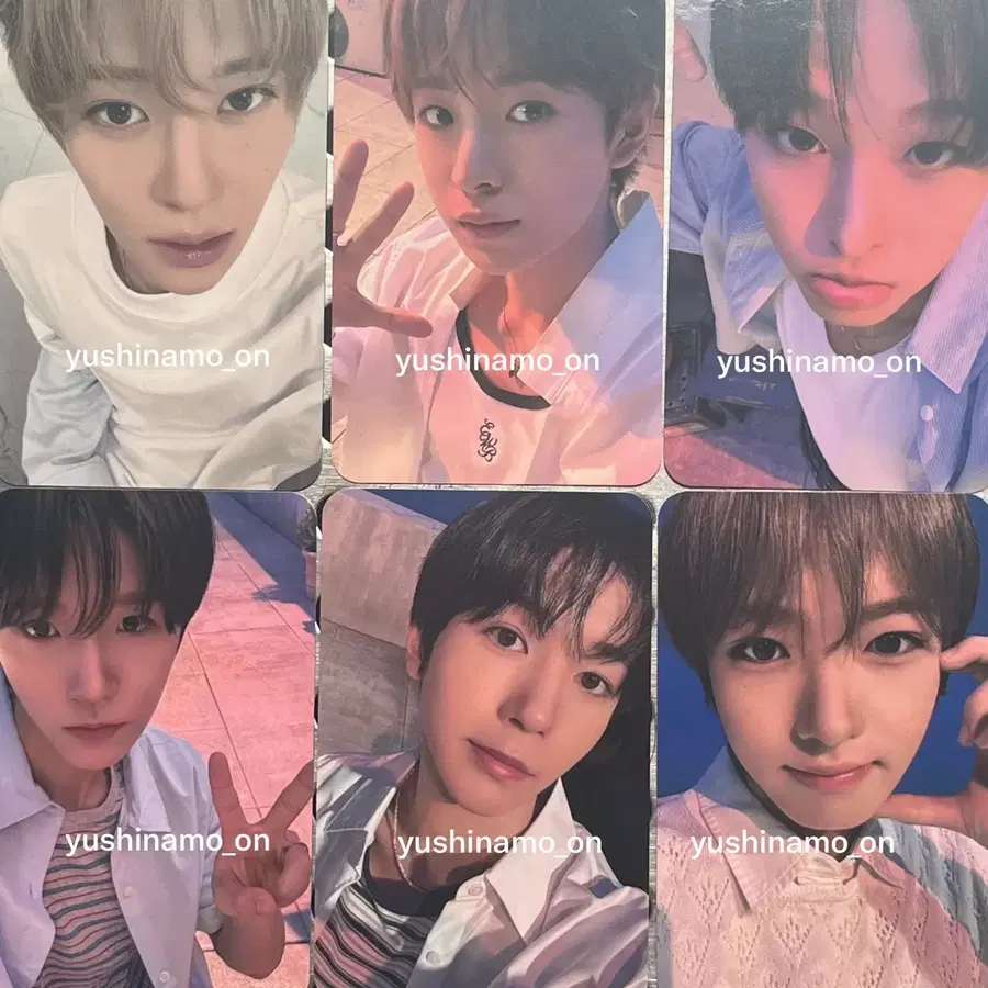 엔시티위시 무모샵 전달회 포카 양도