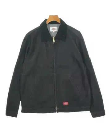 Dickies 커버올 남성용