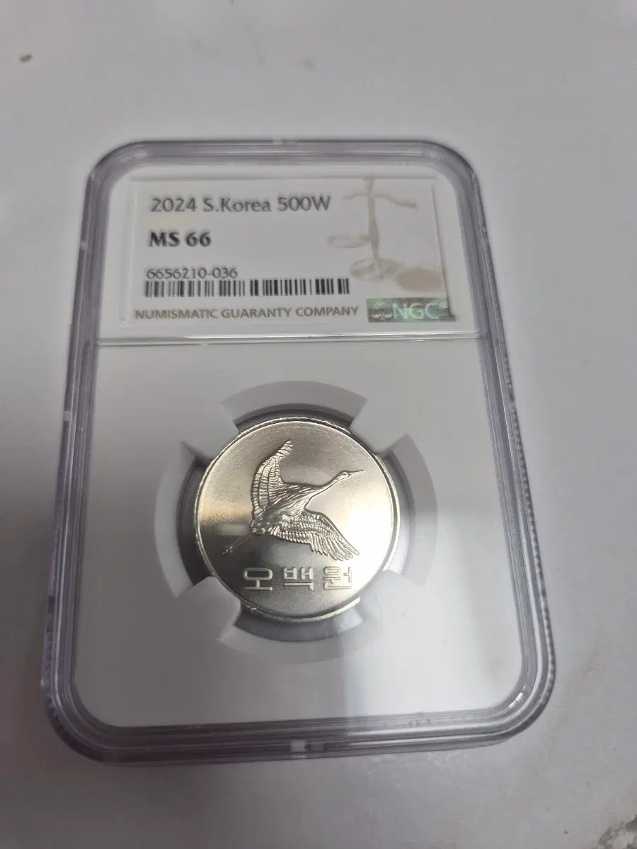2024년 대한민국 500원 동전 NGC MS66 및 서비스