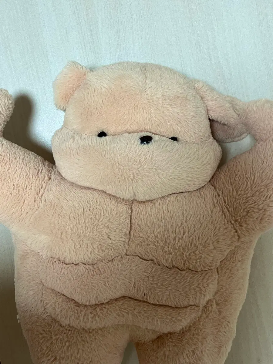 50cm 복근 헬창 몸짱 강아지 인형 판매