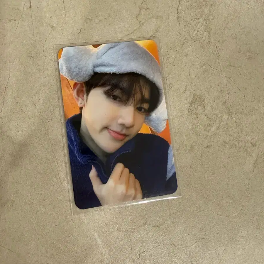 앤더블 장하오 비트로드 멜팅포인트 포카