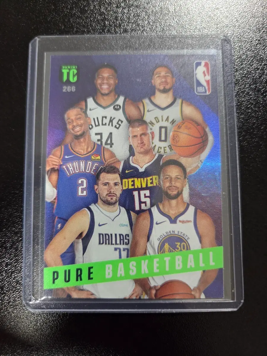 파니니 NBA 카드 퓨어 바스켓볼 266