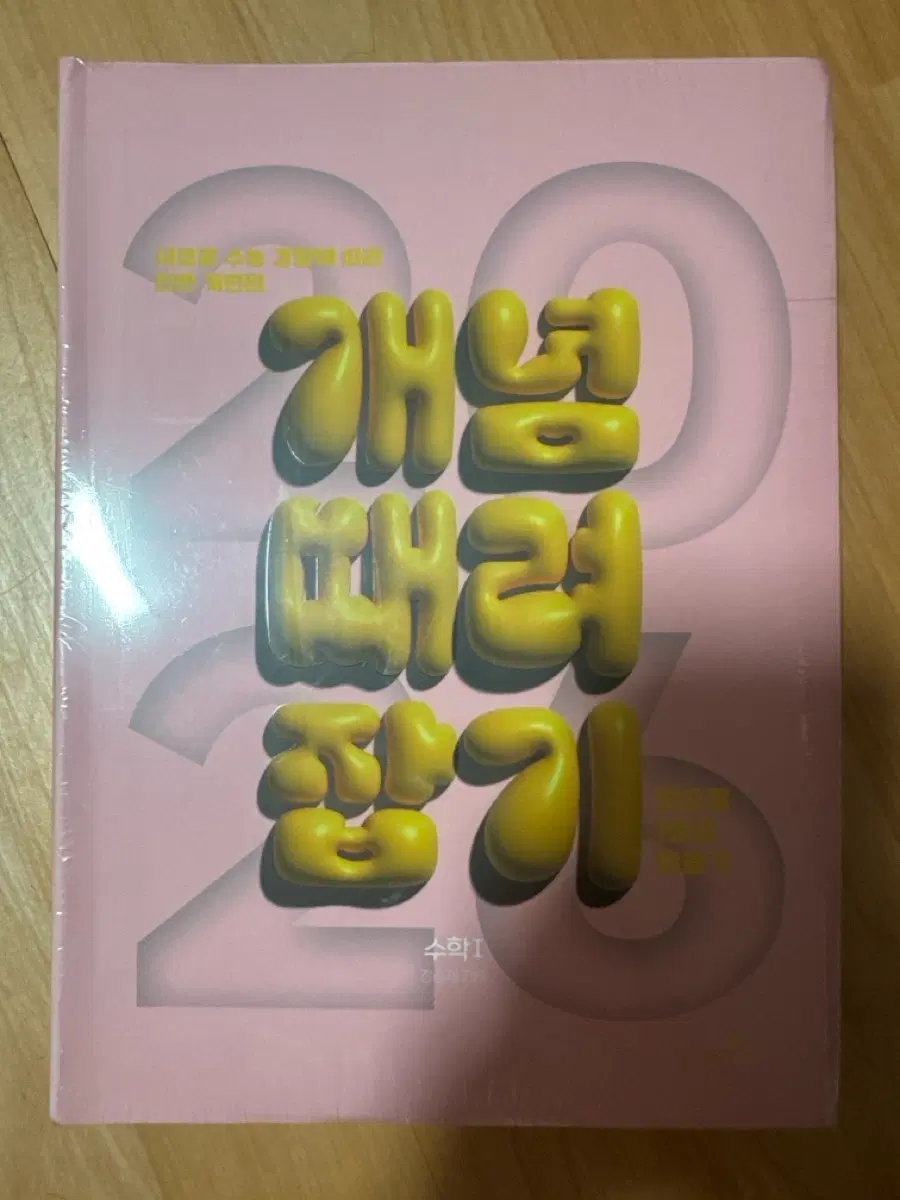 26 개념때려잡기 - 장승제