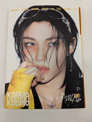 StrayKids ACCORDION VER. FELIX KARMA