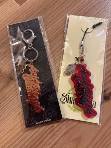 AcidBlackCherry 키링 세트