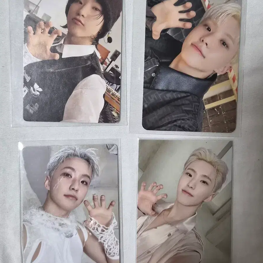 세븐틴 호시포카