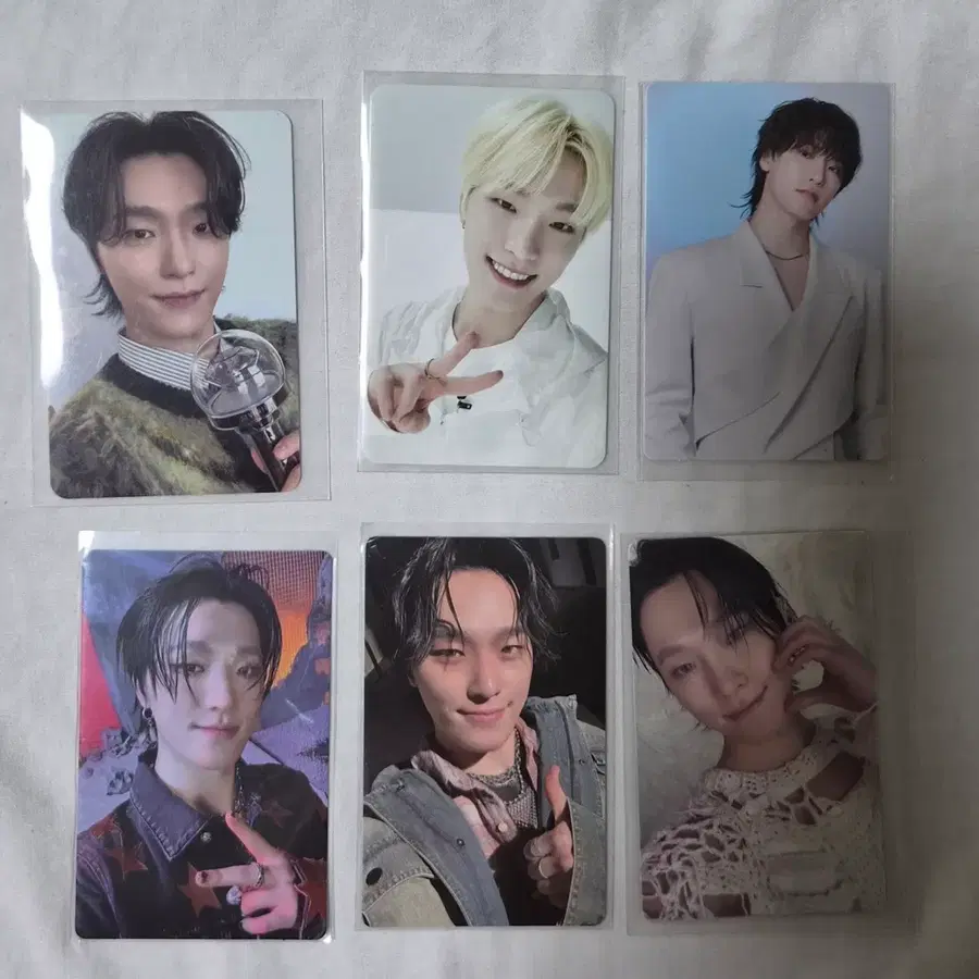 세븐틴 디노 포카