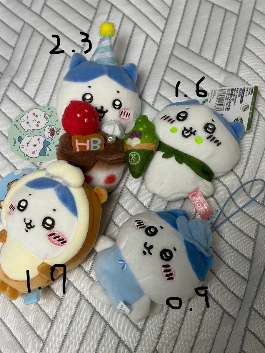 하치와레 누이