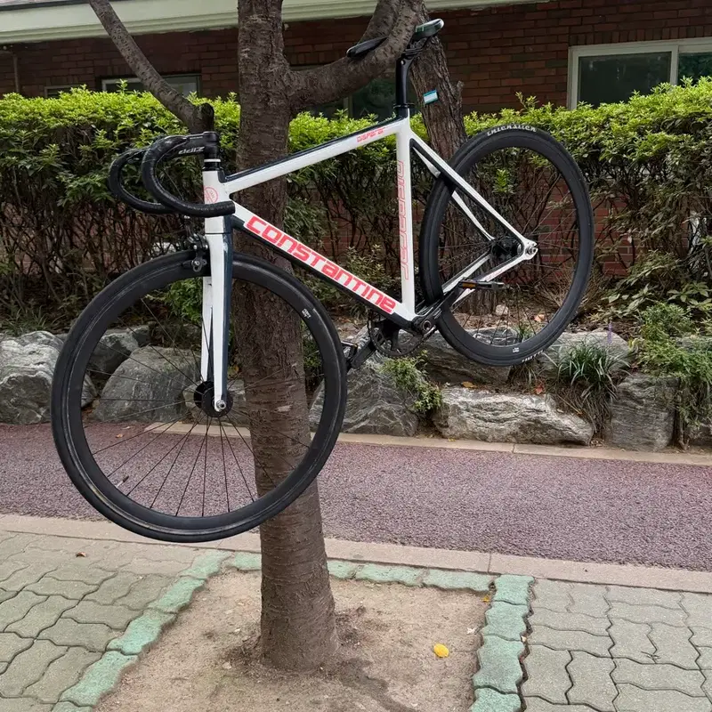 콘스탄틴 디스페랄 2024년식