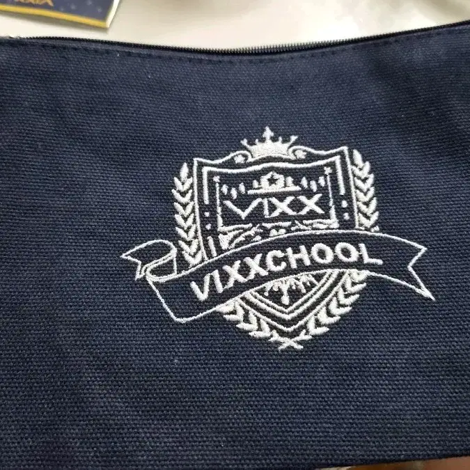 빅스쿨 파우치
