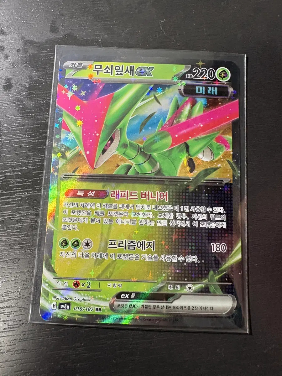 포켓몬카드 무쇠잎새 EX RR