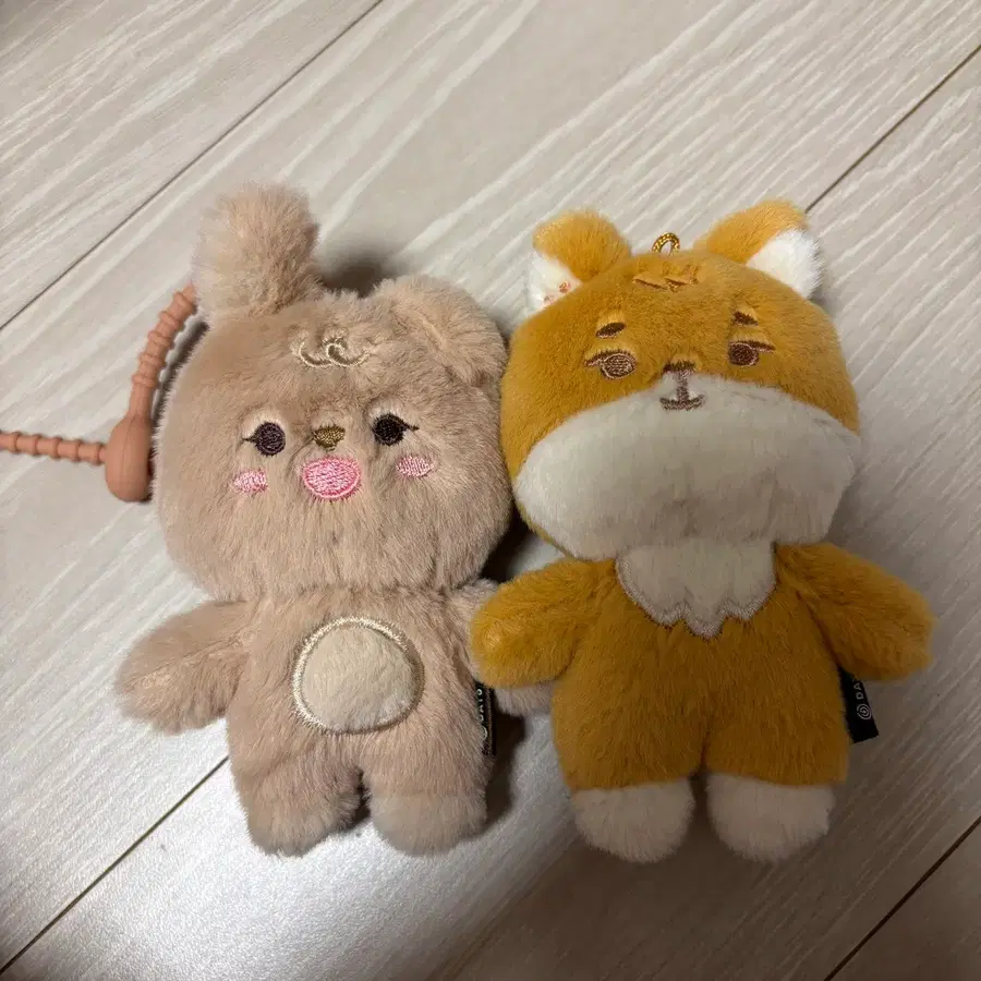 일괄판매) 데이식스 쁘멀 케 태닝 필 필끼