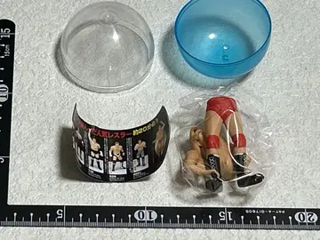 전일본 프로레슬링 자이언트 바바 미니 피규어