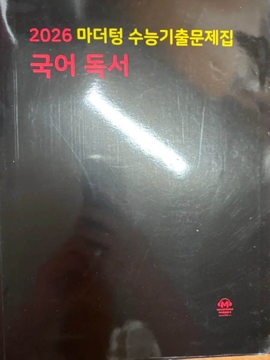 26 국어 독서 마더텅