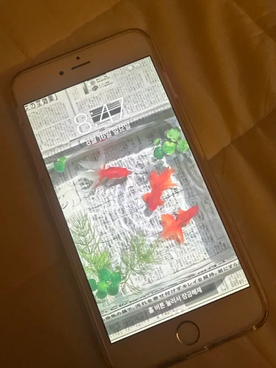 아이폰 6plus 64기가