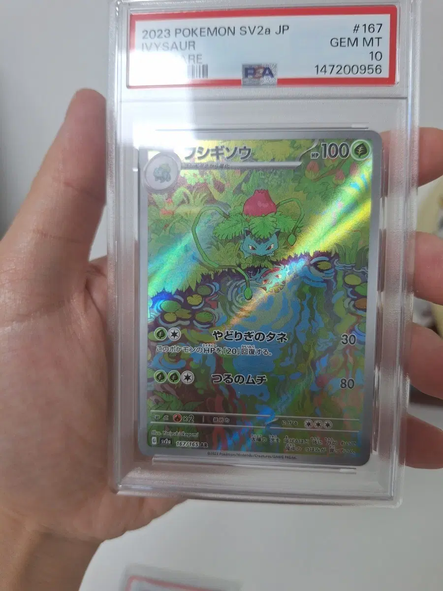 2023 포켓몬카드 이상해풀 SV2a JP psa10