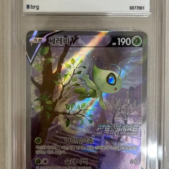 포켓몬스터 카드 세레비 특일 V 프로모 BRG 9 TCG 사진 1