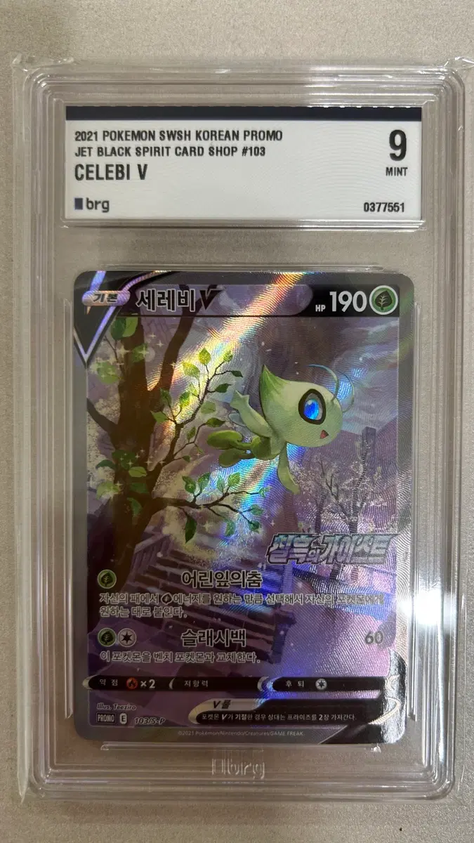 포켓몬스터 카드 세레비 특일 V 프로모 BRG 9 TCG