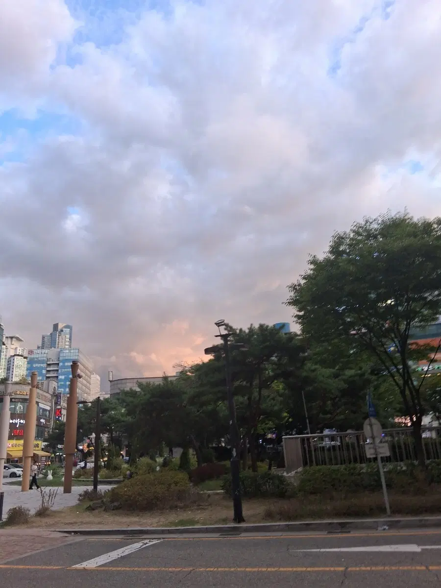 [교환] 메탈카드봇 터닝메카드로 구합니다