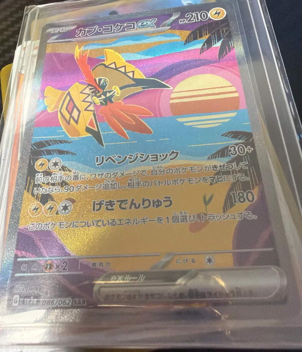 카푸꼬꼬꼭ex SAR