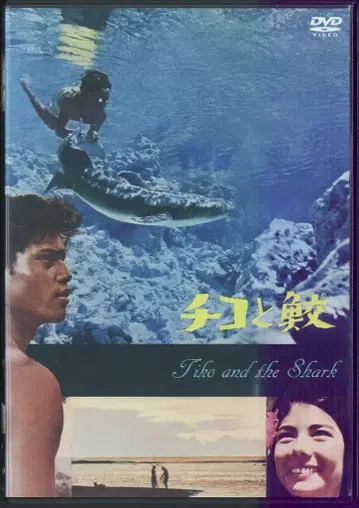 아넥 서양화 DVD 치코와 상어