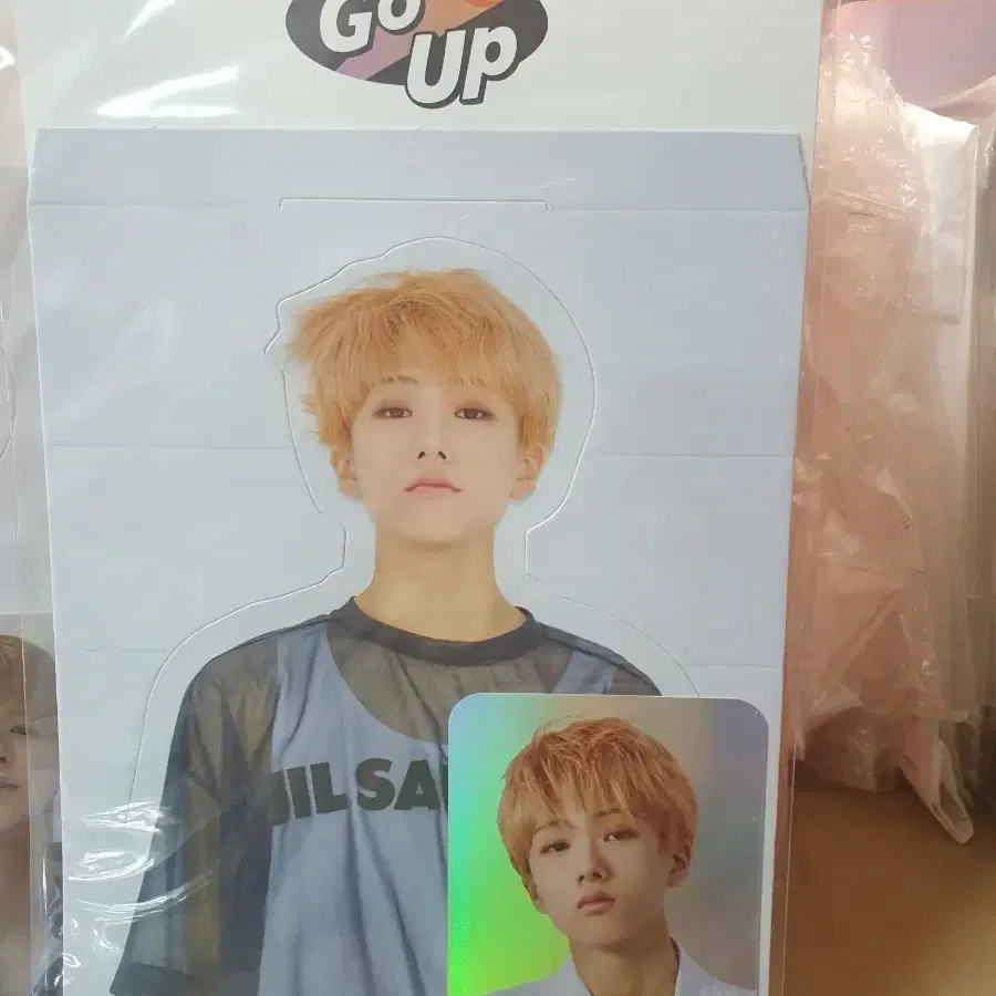 엔시티 드림 we go up 홀로그램 포카 세트 지성