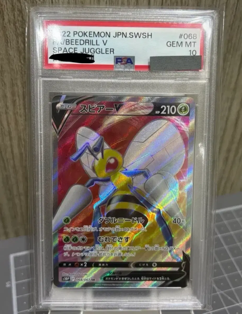 독침붕 PSA10