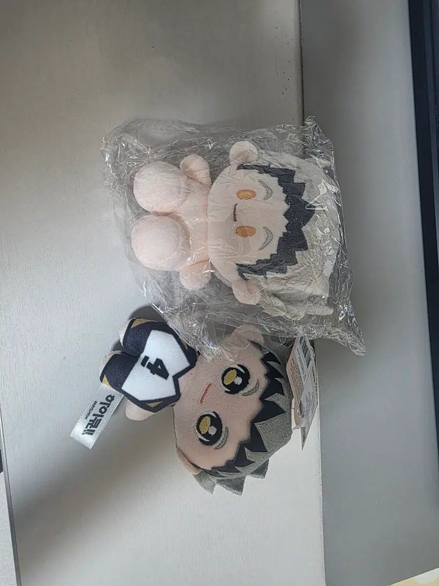 하이큐 보쿠토 인형