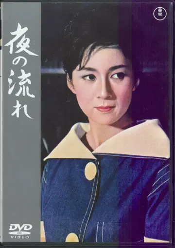일본 국내 영화 DVD 밤의 흐름