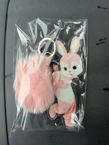 찾아라 사쿠라자카 토끼 아크릴 키링 모리타 히카루